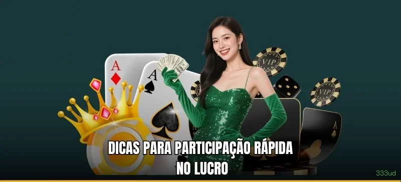 333ud Segurança